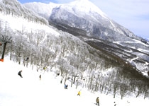 スキー場写真（MT0000007）