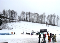 スキー場写真（MT0000021）