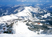 スキー場写真（MT0000116）