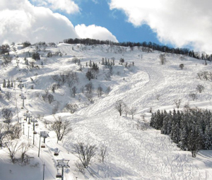 シャルマン火打スキー場の画像